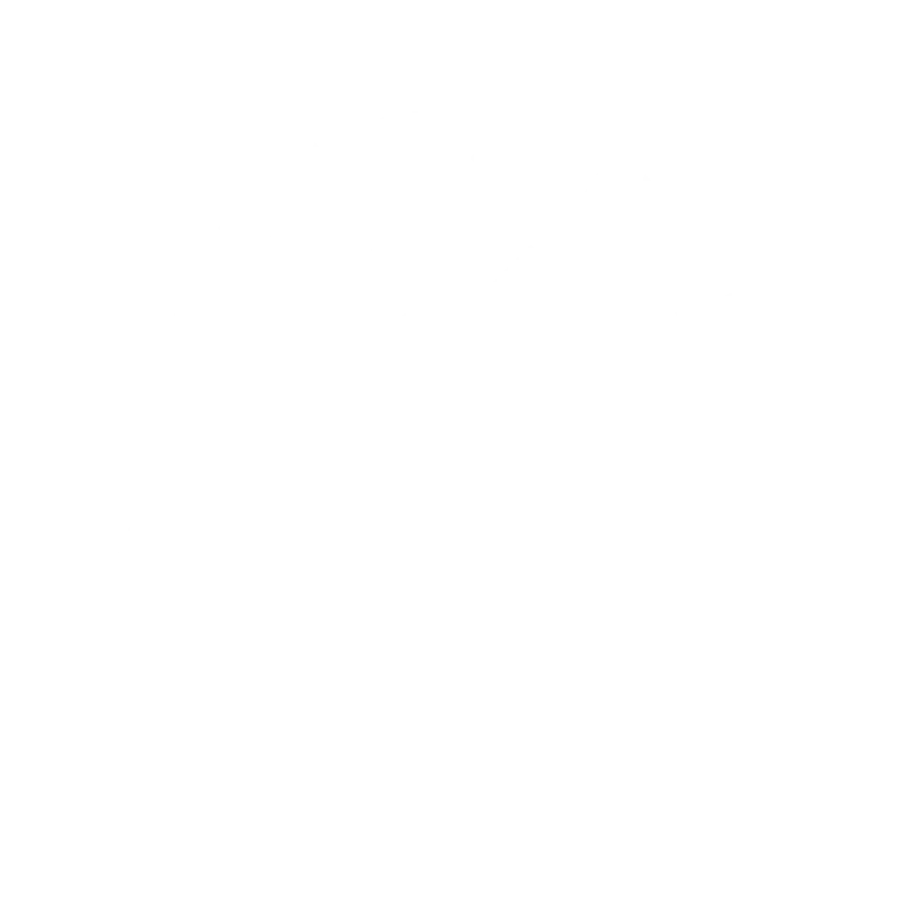 Filmfestival Arendsee